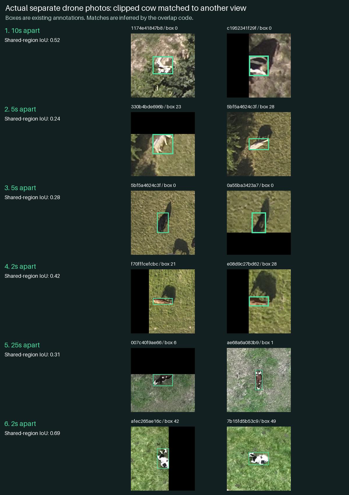 Six pairs of drone-photo crops show clipped cows matched with another view. Green boxes are source annotations; matches are inferred by the overlap code.